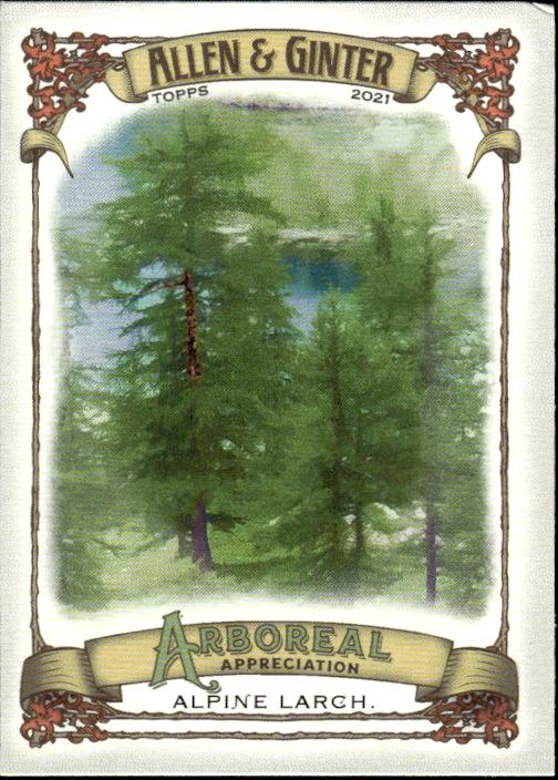 2021 Topps Allen & Ginter #AA-7 Alpine Larch